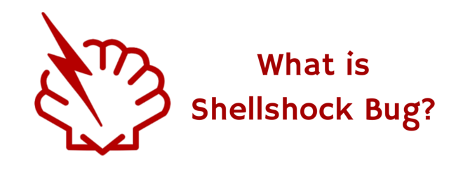 What Is Shellshock Bug? - Webber Insurance Services